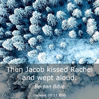 Picture 03 - Genesis 29:11 BSB - Then Jacob kissed Rachel and wept - Bible Verse Picture