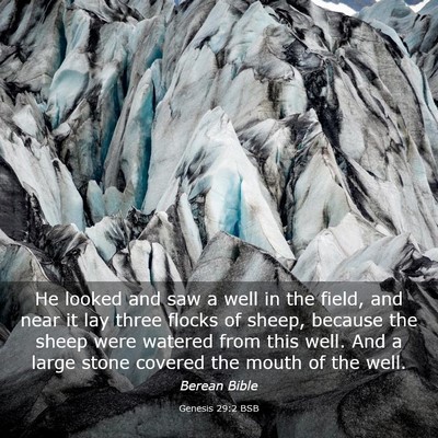 Picture 03 - Genesis 29:2 BSB - He looked and saw a well in the field, and near - Bible Verse Picture