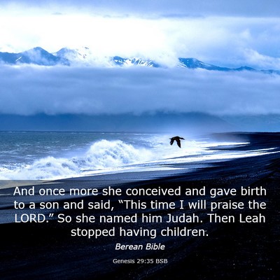 Picture 03 - Genesis 29:35 BSB - And once more she conceived and gave birth to a - Bible Verse Picture