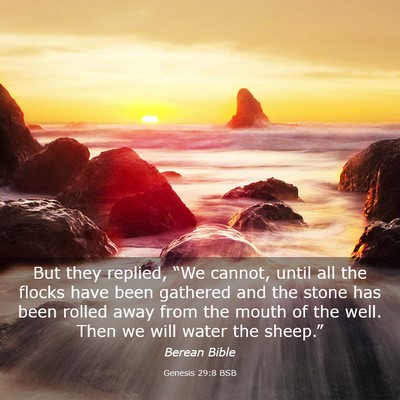Picture 03 - Genesis 29:8 BSB - But they replied, “We cannot, until all the - Bible Verse Picture