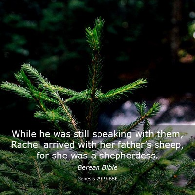 Picture 03 - Genesis 29:9 BSB - While he was still speaking with them, Rachel - Bible Verse Picture