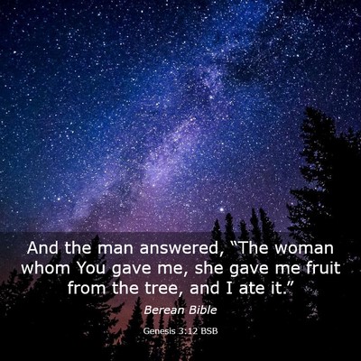 Picture 03 - Genesis 3:12 BSB - And the man answered, “The woman whom You gave - Bible Verse Picture