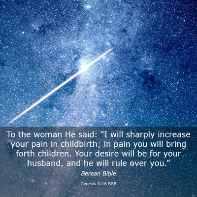 Picture 03 - Genesis 3:16 BSB - To the woman He said: “I will sharply increase - Bible Verse Picture