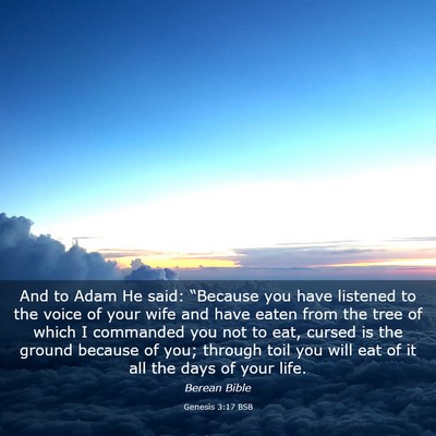 Picture 03 - Genesis 3:17 BSB - And to Adam He said: “Because you have listened - Bible Verse Picture