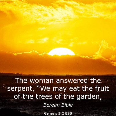 Picture 03 - Genesis 3:2 BSB - The woman answered the serpent, “We may eat the - Bible Verse Picture