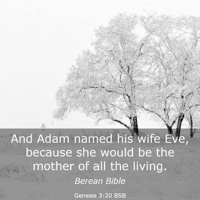 Picture 03 - Genesis 3:20 BSB - And Adam named his wife Eve, because she would be - Bible Verse Picture