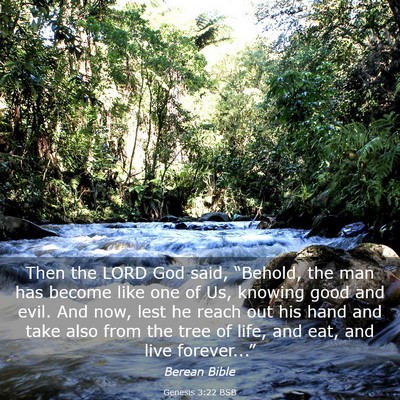 Picture 03 - Genesis 3:22 BSB - Then the LORD God said, “Behold, the man has - Bible Verse Picture