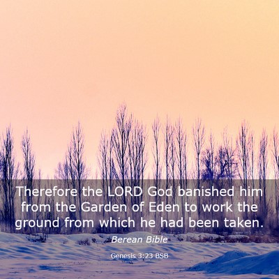 Picture 03 - Genesis 3:23 BSB - Therefore the LORD God banished him from the - Bible Verse Picture