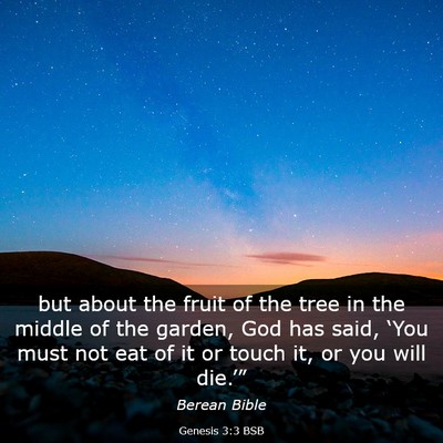 Picture 03 - Genesis 3:3 BSB - but about the fruit of the tree in the middle of - Bible Verse Picture