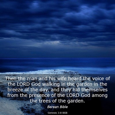 Picture 03 - Genesis 3:8 BSB - Then the man and his wife heard the voice of the - Bible Verse Picture