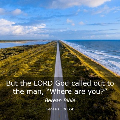 Picture 03 - Genesis 3:9 BSB - But the LORD God called out to the man, “Where - Bible Verse Picture
