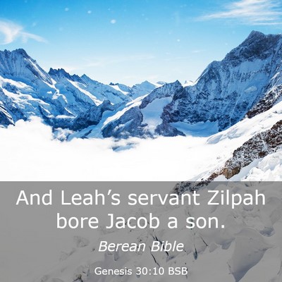 Picture 03 - Genesis 30:10 BSB - And Leah’s servant Zilpah bore Jacob a - Bible Verse Picture