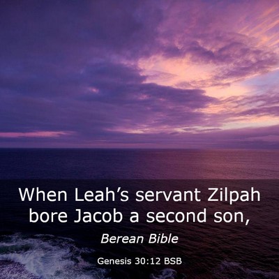 Picture 03 - Genesis 30:12 BSB - When Leah’s servant Zilpah bore Jacob a second - Bible Verse Picture