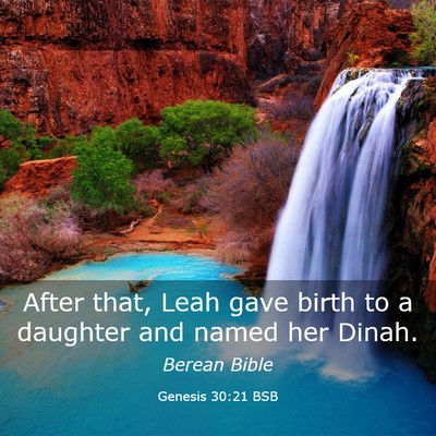 Picture 03 - Genesis 30:21 BSB - After that, Leah gave birth to a daughter and - Bible Verse Picture