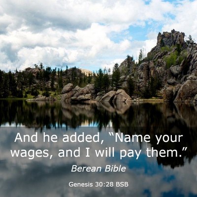 Picture 03 - Genesis 30:28 BSB - And he added, “Name your wages, and I will pay - Bible Verse Picture