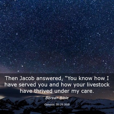 Picture 03 - Genesis 30:29 BSB - Then Jacob answered, “You know how I have - Bible Verse Picture