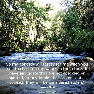 Picture 03 - Genesis 30:33 BSB - So my honesty will testify for me when you come - Bible Verse Picture