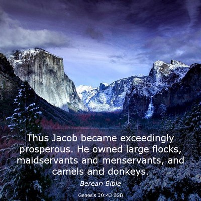 Picture 03 - Genesis 30:43 BSB - Thus Jacob became exceedingly prosperous. He - Bible Verse Picture