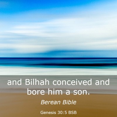Picture 03 - Genesis 30:5 BSB - and Bilhah conceived and bore him a - Bible Verse Picture