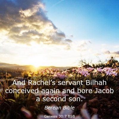 Picture 03 - Genesis 30:7 BSB - And Rachel’s servant Bilhah conceived again and - Bible Verse Picture