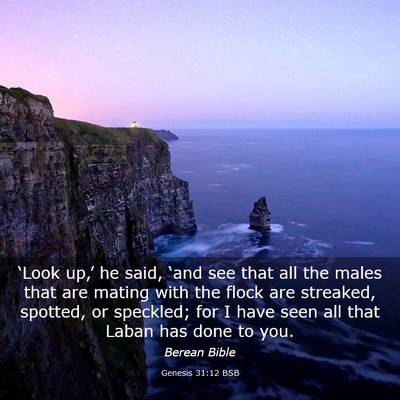 Picture 03 - Genesis 31:12 BSB - ‘Look up,’ he said, ‘and see that all the - Bible Verse Picture