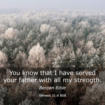 Picture 03 - Genesis 31:6 BSB - You know that I have served your father with all - Bible Verse Picture