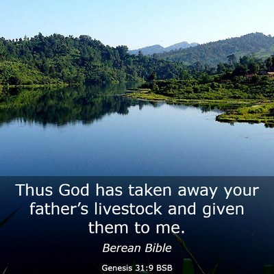 Picture 03 - Genesis 31:9 BSB - Thus God has taken away your father’s livestock - Bible Verse Picture