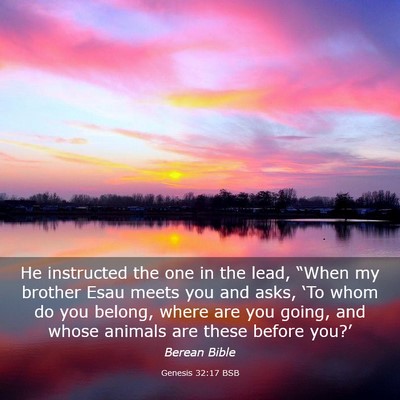 Picture 03 - Genesis 32:17 BSB - He instructed the one in the lead, “When my - Bible Verse Picture