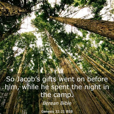 Picture 03 - Genesis 32:21 BSB - So Jacob’s gifts went on before him, while he - Bible Verse Picture