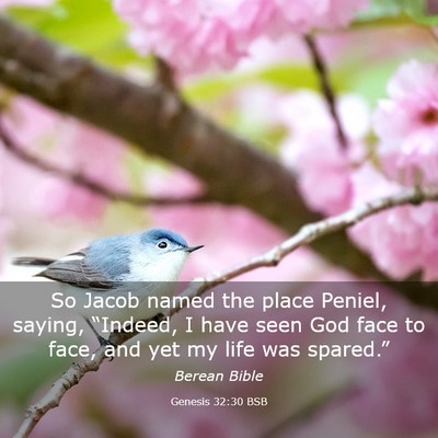 Picture 03 - Genesis 32:30 BSB - So Jacob named the place Peniel, saying, - Bible Verse Picture