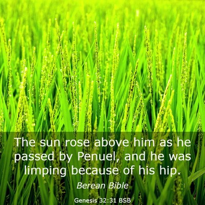 Picture 03 - Genesis 32:31 BSB - The sun rose above him as he passed by Penuel, - Bible Verse Picture