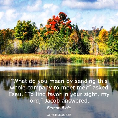 Picture 03 - Genesis 33:8 BSB - “What do you mean by sending this whole company - Bible Verse Picture