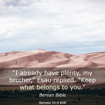 Picture 03 - Genesis 33:9 BSB - “I already have plenty, my brother,” Esau - Bible Verse Picture