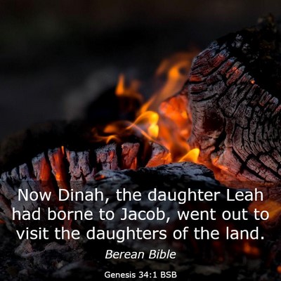 Picture 03 - Genesis 34:1 BSB - Now Dinah, the daughter Leah had borne to Jacob, - Bible Verse Picture