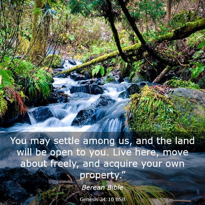 Picture 03 - Genesis 34:10 BSB - You may settle among us, and the land will be - Bible Verse Picture