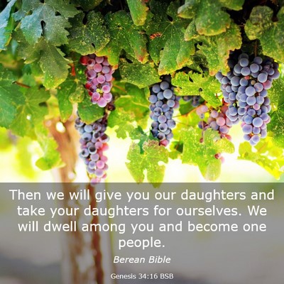 Picture 03 - Genesis 34:16 BSB - Then we will give you our daughters and take your - Bible Verse Picture