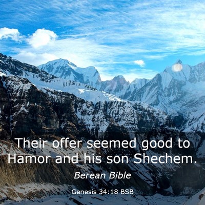 Picture 03 - Genesis 34:18 BSB - Their offer seemed good to Hamor and his son - Bible Verse Picture