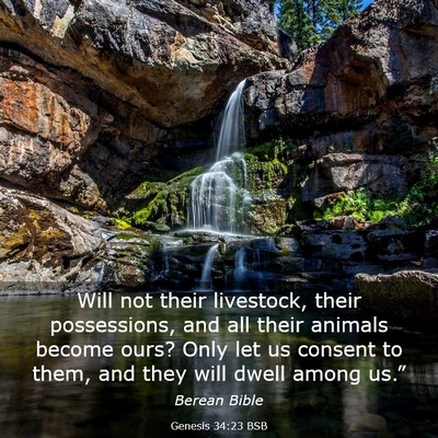 Picture 03 - Genesis 34:23 BSB - Will not their livestock, their possessions, and - Bible Verse Picture