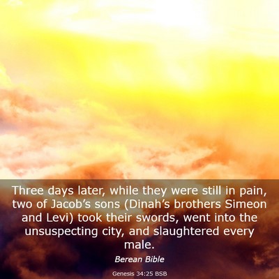 Picture 03 - Genesis 34:25 BSB - Three days later, while they were still in pain, - Bible Verse Picture