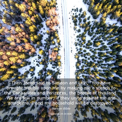 Picture 03 - Genesis 34:30 BSB - Then Jacob said to Simeon and Levi, “You have - Bible Verse Picture