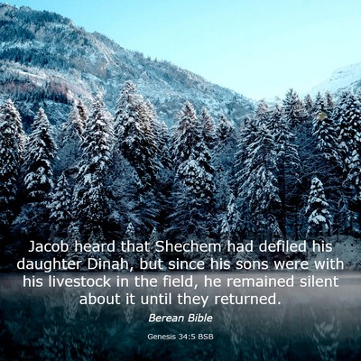 Picture 03 - Genesis 34:5 BSB - Jacob heard that Shechem had defiled his daughter - Bible Verse Picture