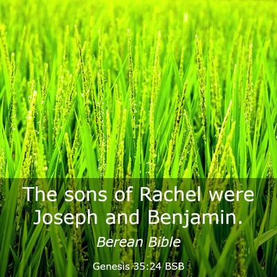 Picture 03 - Genesis 35:24 BSB - The sons of Rachel were Joseph and - Bible Verse Picture