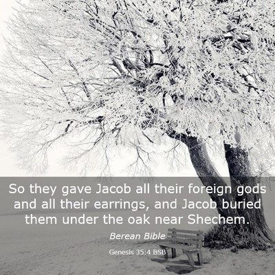 Picture 03 - Genesis 35:4 BSB - So they gave Jacob all their foreign gods and all - Bible Verse Picture
