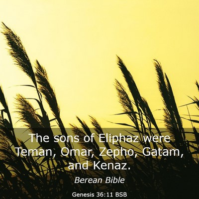 Picture 03 - Genesis 36:11 BSB - The sons of Eliphaz were Teman, Omar, Zepho, - Bible Verse Picture