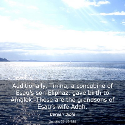 Picture 03 - Genesis 36:12 BSB - Additionally, Timna, a concubine of Esau’s son - Bible Verse Picture