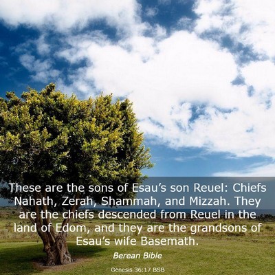 Picture 03 - Genesis 36:17 BSB - These are the sons of Esau’s son Reuel: Chiefs - Bible Verse Picture