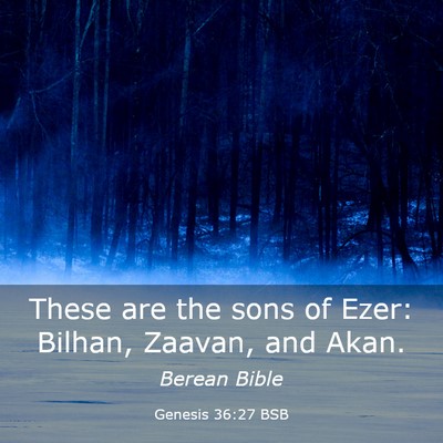 Picture 03 - Genesis 36:27 BSB - These are the sons of Ezer: Bilhan, Zaavan, and - Bible Verse Picture