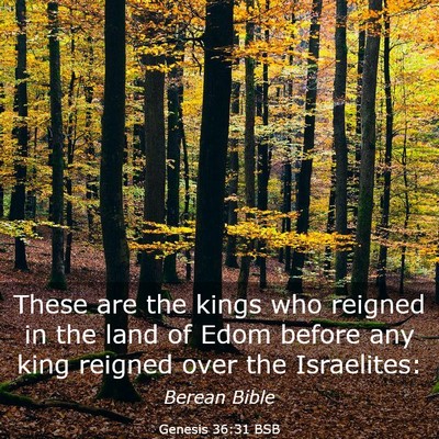 Picture 03 - Genesis 36:31 BSB - These are the kings who reigned in the land of - Bible Verse Picture