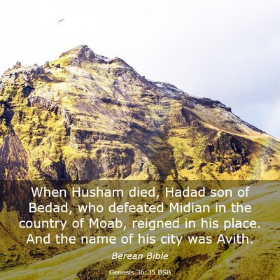 Picture 03 - Genesis 36:35 BSB - When Husham died, Hadad son of Bedad, who - Bible Verse Picture