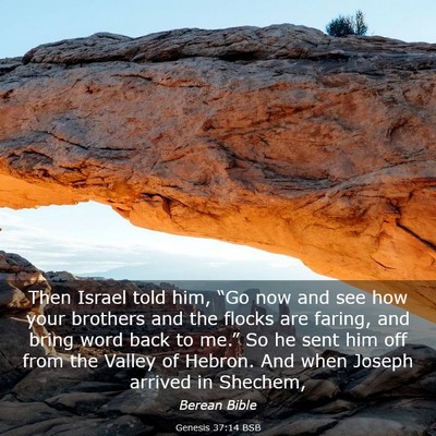 Picture 03 - Genesis 37:14 BSB - Then Israel told him, “Go now and see how your - Bible Verse Picture